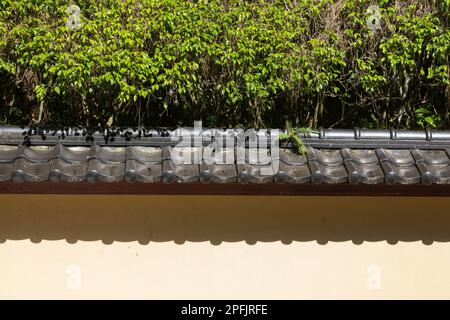 Fliesendach im japanischen Stil im Morikami Museum und japanischen Garten Stockfoto
