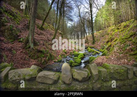 High Force Wasserfall in Middleton in Teesdale, Durham, Großbritannien Stockfoto