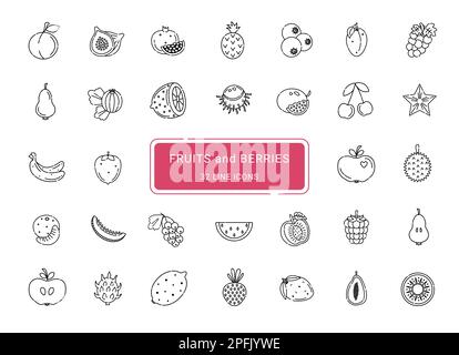 Früchte und Beeren, 32 niedliche Linienvektorsymbole Stock Vektor