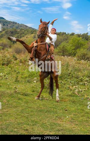 Mann auf einem Zuchtpferd, das kasachische ethnografische Dorf Aul Gunny, Talgar City, Almaty, Kasachstan, Zentralasien Stockfoto