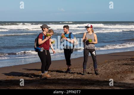 Tortuguero, Costa Rica: Touristen trinken Kokosnusswasser aus grünen Kokosnüssen am Karibischen Strand neben dem Tortuguero-Nationalpark. Stockfoto