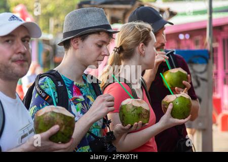 Tortuguero, Costa Rica: Touristen trinken Kokosnusswasser aus grünen Kokosnüssen in diesem kleinen Dorf an der Karibikküste neben dem Tortuguero National Par Stockfoto