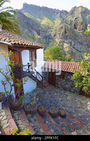 Bergdorf, Masca, Teno, Teneriffa, Kanarische Inseln, Spanien Stockfoto