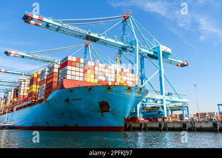 Rotterdam, Niederlande - 16. Juni 2022: Containerschiff Mary Maersks, das an APM-Containerterminals im Hafen Maasvlakte 2 in Rotterdam angedockt ist Stockfoto