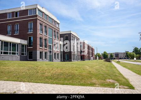 Eine Reihe moderner Bürogebäude in einem Gewerbepark an einem sonnigen Sommertag Stockfoto