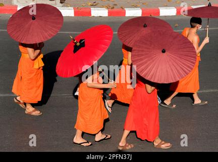 Buddhistische Mönche mit Schirmen bei einer Tempelzeremonie, Wat Phra Singh Chiang Mai, Thailand Stockfoto