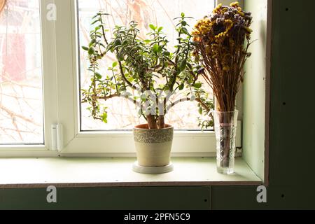 Sensor zum Öffnen des Fensters hängt am Fenster, Hausalarmierungssystem, Hausschutz, Hausalarm Stockfoto