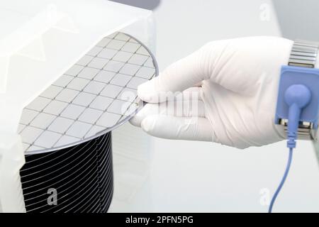 Eine Charge Silizium-Wafer, verpackt in einer Kunststoffbox im Reinraum einer Halbleitergießerei, bereit für die Mikrochip-Produktion. Stockfoto