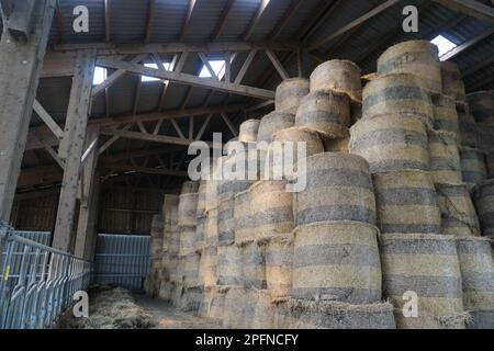 Landschaft mit Heuballen in alten Gebäuden in der Bergregion der Pyrénées, Frankreich Stockfoto
