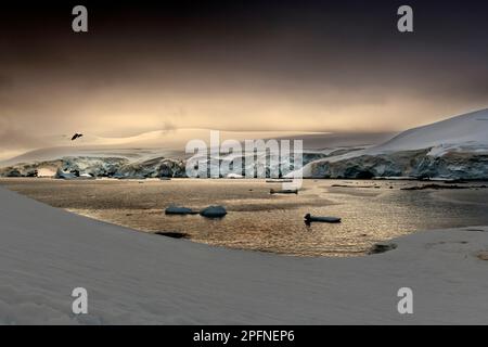 Antarktis-Halbinsel, Palaver Point Stockfoto