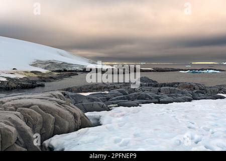 Antarktis-Halbinsel, Palaver Point Stockfoto