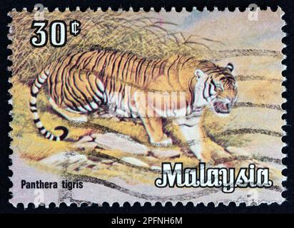 MALAYSIA - CIRCA 1979: Ein in Malaysia gedruckter Stempel aus der Ausgabe "Tiere" zeigt einen Tiger (Panthera tigris), circa 1979. Stockfoto