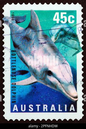 AUSTRALIEN - CIRCA 1998: Ein in Australien gedruckter Stempel der Ausgabe "Marine Life" zeigt Bottlenose Dolphin (Tursiops truncatus), circa 1998. Stockfoto