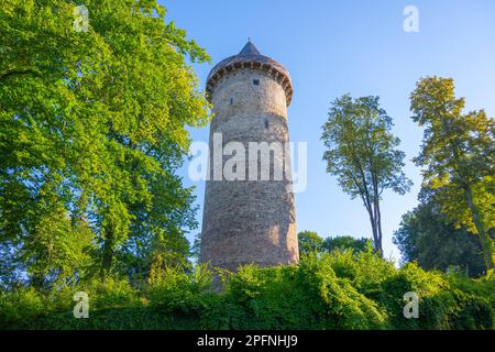 Antiker runder Steinturm Jakobinka. Ein Überbleibsel des erloschenen mittelalterlichen Oberen Schlosses Rozmberk. Rozmberk nad Vltavou, Tschechische Republik Stockfoto