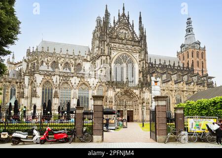 St. John's Cathedral, im Zentrum von 's-Hertogenbosch. Stockfoto