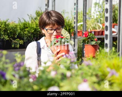 Die Frau wählt Pflanzen für die Landschaftsgestaltung aus. Außenregale mit Setzlingen, Blütenpflanzen und Samen im Blumengeschäft. Landwirtschaftsmarkt unter freiem Himmel. Stockfoto