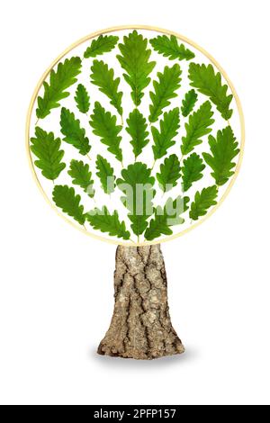 Surreales Eichenblatt abstrakte runde Form umweltfreundliches Symbol mit losen grünen Blättern. Ökologisches Designelement für Marken und Logos. Stockfoto