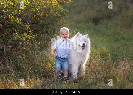 Der kleine Junge umarmt liebevoll den weißen, flauschigen Samoyerten Hund. Freundschaft zwischen Mensch und Tier. Therapie, Training, Pflege, Tierpflege. Reisen in der Natur mit Stockfoto