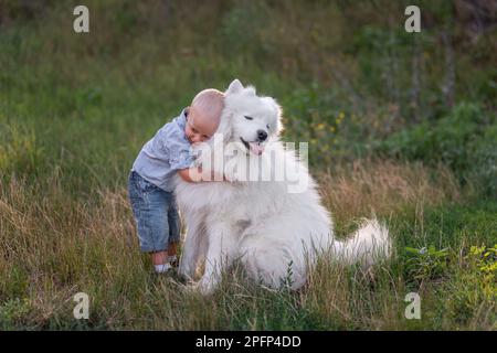 Der kleine Junge umarmt liebevoll den weißen, flauschigen Samoyerten Hund. Freundschaft zwischen Mensch und Tier. Therapie, Training, Pflege, Tierpflege. Reisen in der Natur mit Stockfoto