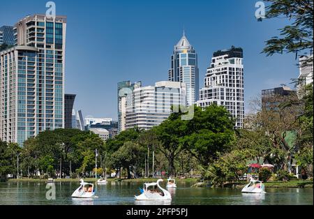 Lumphini Park eine große Grünfläche mit Seen im Zentrum von Bangkok ist ein beliebtes Gebiet bei Einheimischen und Besuchern gleichermaßen. Stockfoto