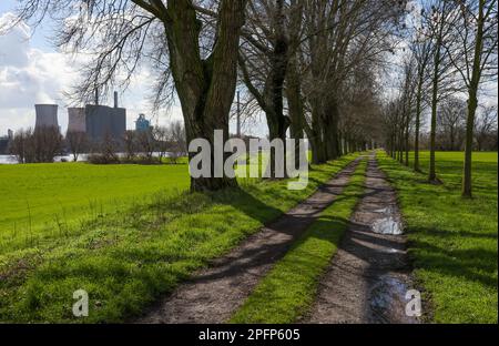 Duisburg, Nordrhein-Westfalen, Deutschland - Industrielandschaft, Fußweg am Rheinufer am Duisburger Hafen in Rheinhausen, HKM Hüttenwerke Stockfoto