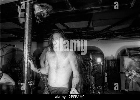 Leadsänger Henry Rollins von der Punk-Band Black Flag bei einem Live-Konzert der Band im Upstate New York Ende Dezember 1984 Stockfoto