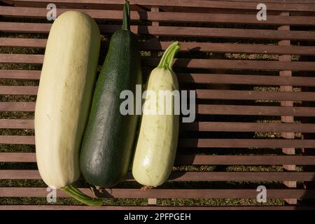 Draufsicht auf drei große Zucchini, die in einer Reihe auf einem Holztisch angeordnet sind, selektiver Fokus mit einem Platz zum Kopieren. Hochwertiges Foto Stockfoto