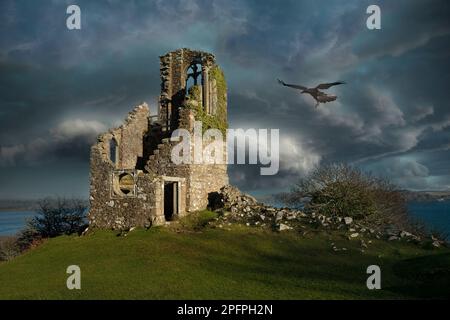 Ruine of a Folly mit Krähe Mount Edgcumbe Country Park Cornwall UK Europa Stockfoto