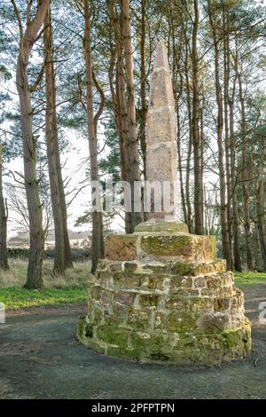 Das Percy Cross, Schlacht von Otterburn Marker bei Otterburn, Northumberland, England Stockfoto