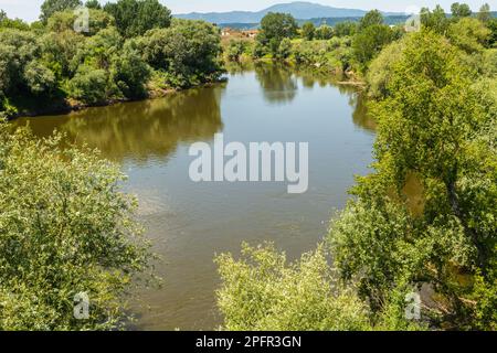 Der Fluss Arno. Padule of Fucecchio ist eines der wichtigsten Feuchtgebiete in der Toskana - Fucecchio, Toskana, Italien - Europa Stockfoto