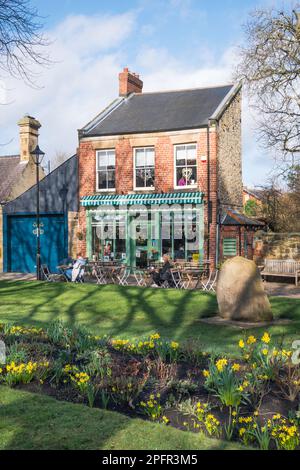 Frühlingsblick auf den Green Tearoom in Washington Village, Tyne and Wear, England, Großbritannien Stockfoto