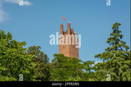 Die Rocca von Federico II in San Miniato, Provinz Pisa, Region Toskana, zentralitalien, Europa Stockfoto