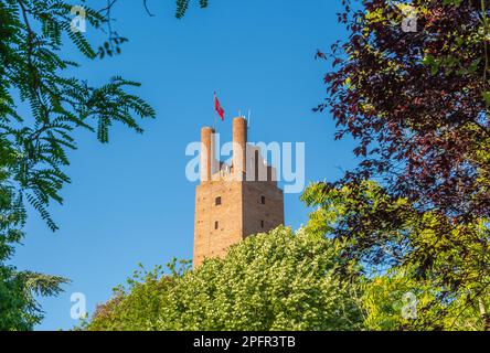 Die Rocca von Federico II in San Miniato, Provinz Pisa, Region Toskana, zentralitalien, Europa Stockfoto