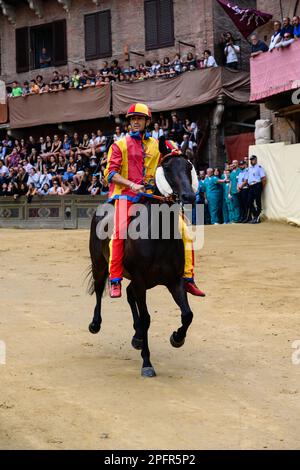 Siena, Italien - August 15 2022: Reiter und Pferd beim Palio di Siena Prova Trial Race, Jockey oder Fantino Scompiglio Jonatan Bartoletti Reiten für Chio Stockfoto