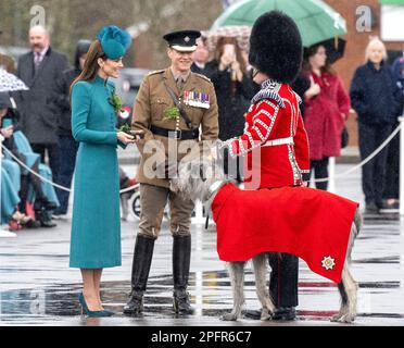 Aldershot, England. UK. 17. März 2023. Catherine, Prinzessin von Wales, präsentiert das Regimentsmaskottchen Irish Wolf Hound „Turlough Mor“ (alias Seamus) mit einem Stockfoto