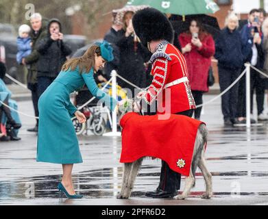 Aldershot, England. UK. 17. März 2023. Catherine, Prinzessin von Wales, präsentiert das Regimentsmaskottchen Irish Wolf Hound „Turlough Mor“ (alias Seamus) mit einem Stockfoto