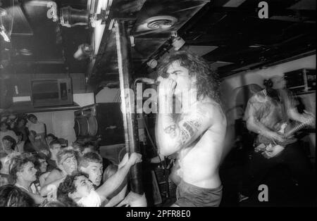 Leadsänger Henry Rollins von der Punk-Band Black Flag bei einem Live-Konzert der Band im Upstate New York Ende Dezember 1984 Stockfoto