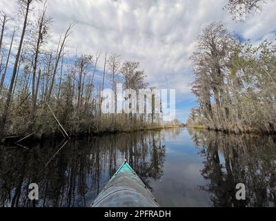 Kajaktouren auf markierten Pfaden im Okefenokee National Wildlife Refuge, Nordamerikas größter schwarmwasserschwarm und Heimat vielfältiger Tierarten, darunter Al Stockfoto