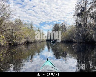 Ein aktives Seniorenpaar paddelt im iOkefenokee National Wildlife Refuge, dem größten Schwarzwassersumpf Nordamerikas und Heimat Tausender Alligatoren. Stockfoto