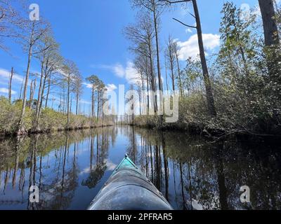 Im Okefenokee Sumpf, einem National Wildlife Refuge zwischen Florida und Georgia im Süden der USA, könnt ihr mit dem Kajak die Landschaft genießen. Stockfoto