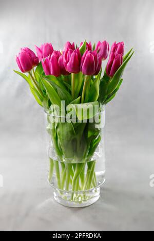 Ein Strauß lila Tulpen in einer runden zylindrischen Glasvase Stockfoto