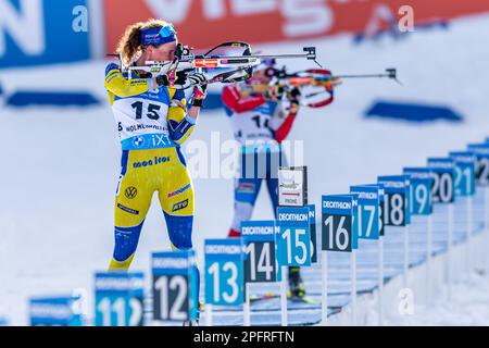 Oslo, Norwegen am 18. März 2023 nimmt Hanna Oeberg aus Schweden an dem Sprinywettbewerb Ladys 7,5km während der BMW IBU Weltmeisterschaft Biathlon in Holmenkollen Oslo, Norwegen, Teil. Kredit: Nigel Waldron/Alamy Live News Stockfoto