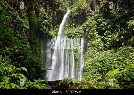 Sendang Gile Wasserfall in Lombok, Indonesien Stockfoto