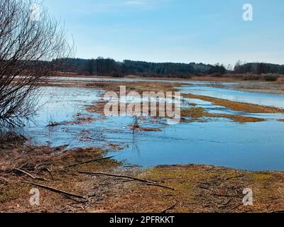 Frühling, Flüsse auf landwirtschaftlichen Wiesen. Reflexion in von Wasser bedeckten Unterwasserfeldern. Saisonaler Überlauf. Ländliches sonniges Panorama. Neman reg Stockfoto