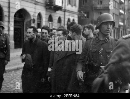 Im Januar 1943 kamen die nazis an, um die Juden des Warschauer Ghettos zu verhaften. Die Juden, die entschlossen waren, es zu bekämpfen, nahmen es mit selbstgemachten und primitiven Waffen auf die SS abgesehen. Die Verteidiger wurden hingerichtet oder deportiert, und das Ghetto-Gebiet wurde systematisch abgerissen. Dieses Ereignis ist bekannt als Ghetto-Aufstand. Dieses Ereignis ist wie der Ghetto-Aufstand. Dieses Bild zeigt auf der Straße Gefangene Kämpfer unter Bewachung. Dieses Bild stammt aus der deutschen Fotoaufzeichnung des Ereignisses, bekannt als Stroop-Bericht. Stockfoto