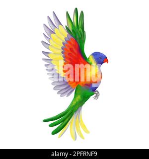 Fliegender Regenbogenvektor-Lorikeet. Farbenfroher, lebendiger Papagei. Tropischer Dschungelvogel. Realistische Darstellung isoliert auf Weiß. Stock Vektor