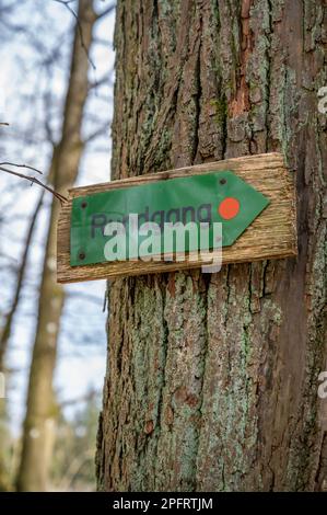 Deutsches grünes Rundgang Rundgang Rundweg-Schild hängt am Baumstamm im Englischen Garten Eulbach, vertikale Aufnahme Stockfoto