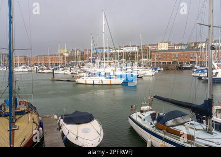 Yachten und Boote liegen im Hafen von Milford Haven Pembrokeshire Wales UK vor Stockfoto