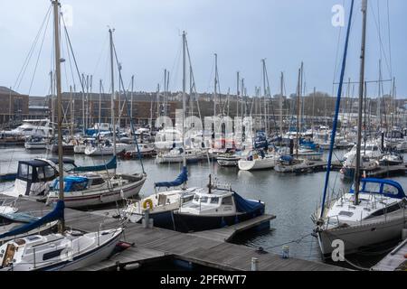 Yachten und Boote liegen im Hafen von Milford Haven Pembrokeshire Wales UK vor Stockfoto