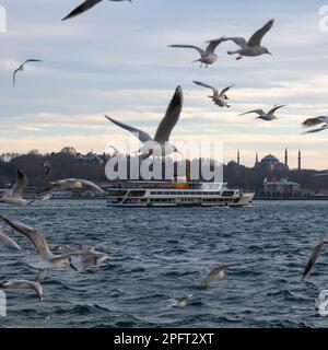 Blick auf Istanbul. Möwen und Fähre mit bewölktem Himmel. Reisen Sie zum Istanbul Square Format Foto. Stockfoto